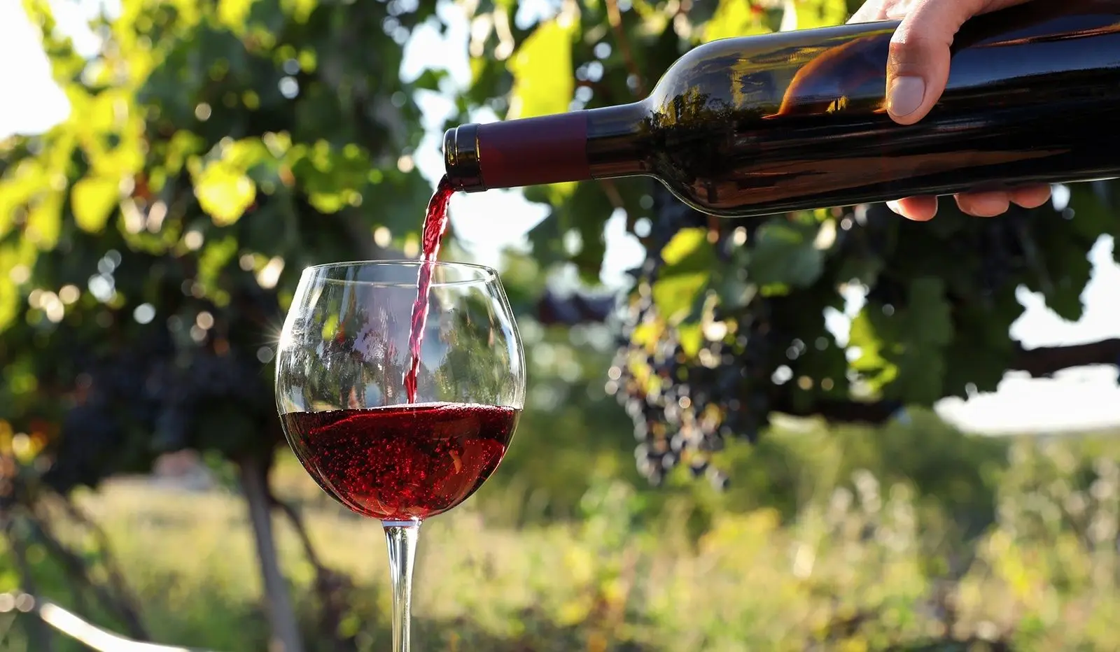 A bottle of wine